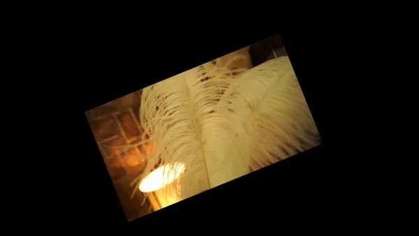 [Xiuren秀人网] 视频 2017.03.10 VN.042 土肥圆矮挫穷 - 秀人网视频